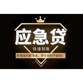 玉林正规汽车抵押不押车贷款